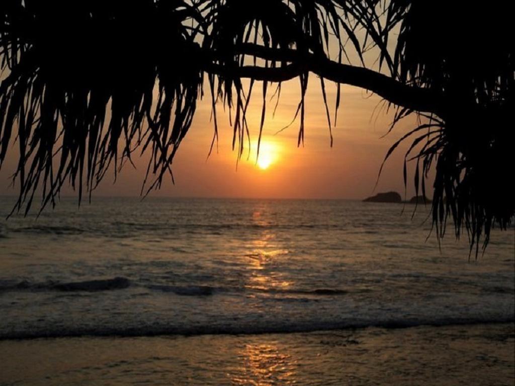 Time N Tide Beach Resort ฮิกคาดูวา ภายนอก รูปภาพ